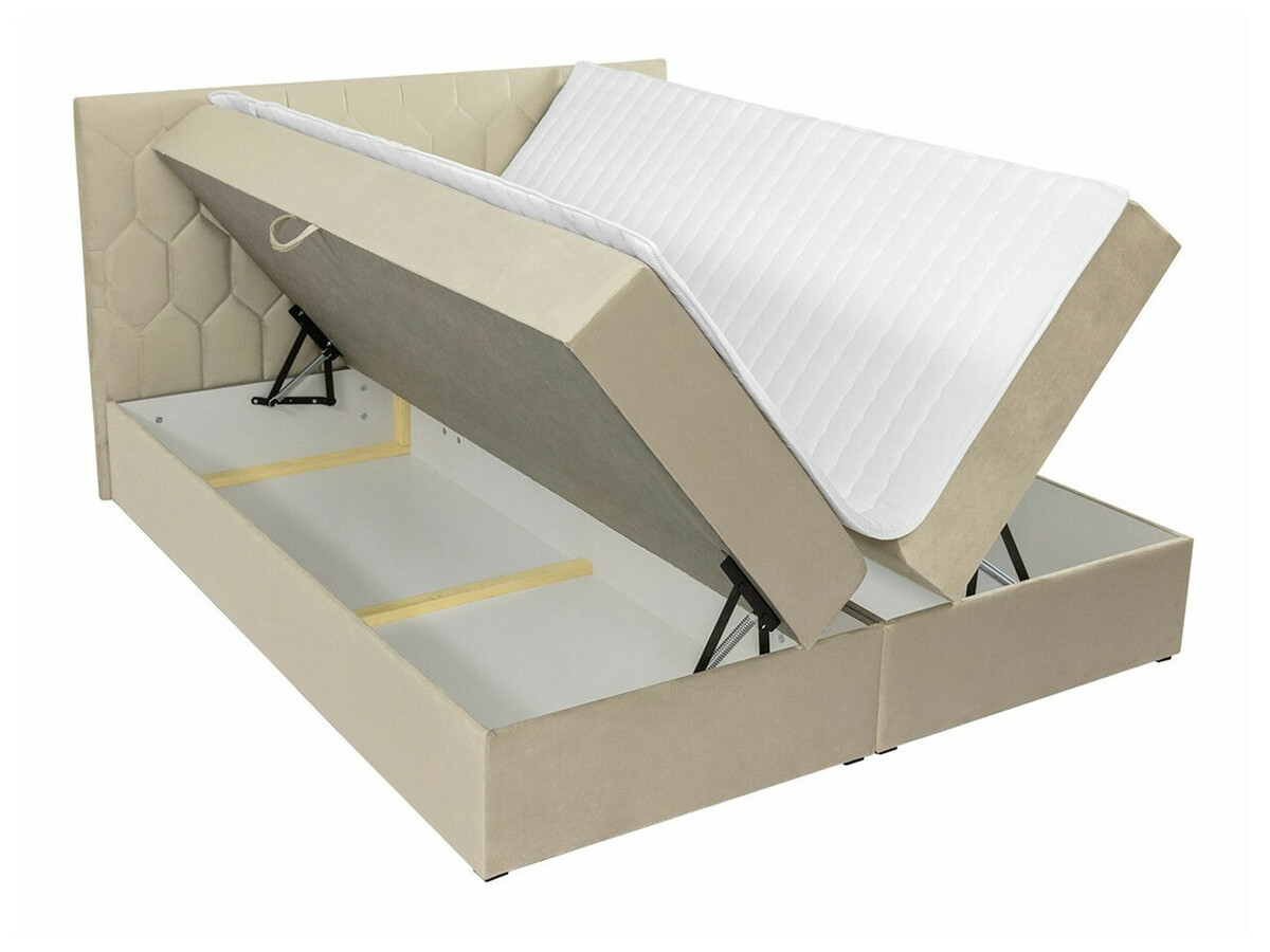 Continental-rúm Pons III (Fresh 13)