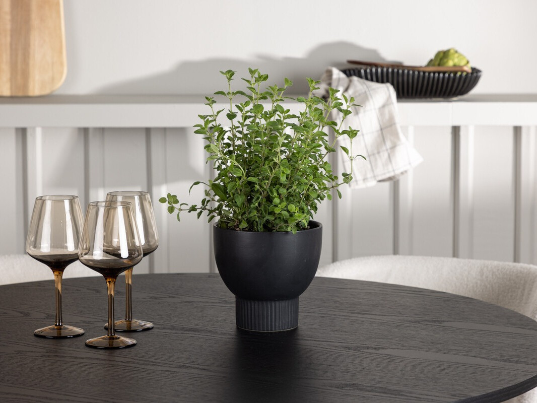 Borðstofusett Dallas 4356