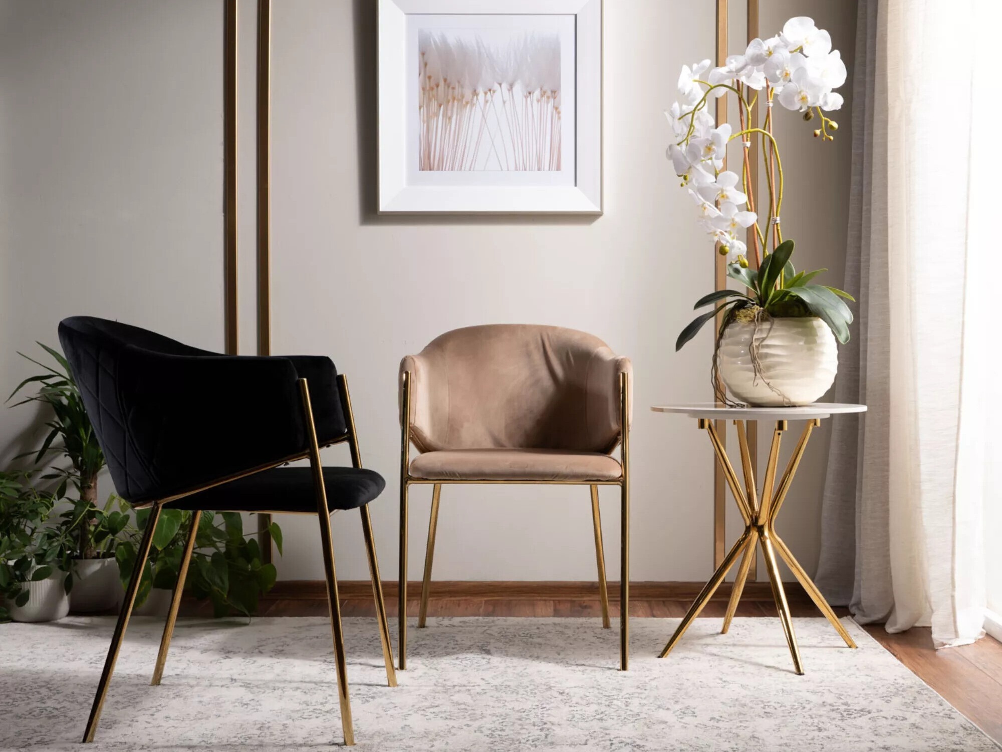 Stóll Detroit 329 (Beige + Gylltur)