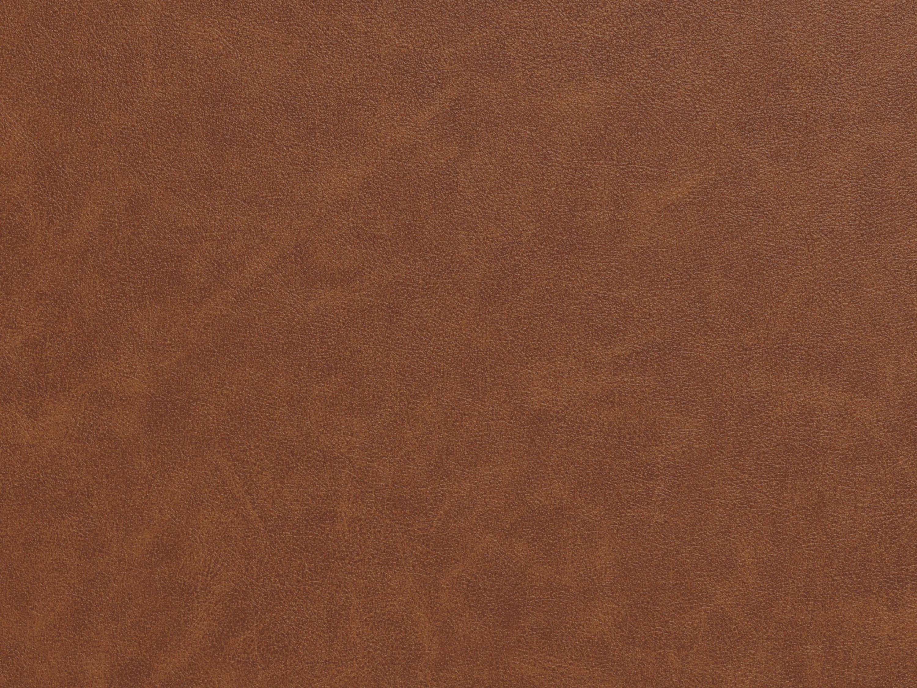 Skrifstofustóll Norsica 881 (Brúnn)
