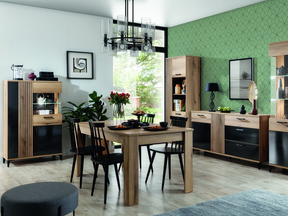 Skenkur Camcate 105